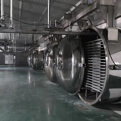 Customized Vacuum Food Freeze Dryer