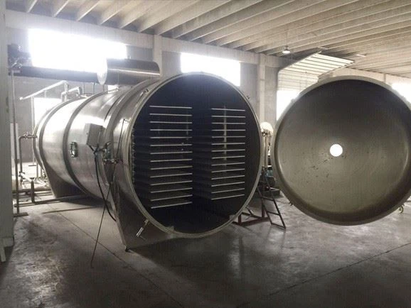 buy Vacuum Food Freeze Dryer